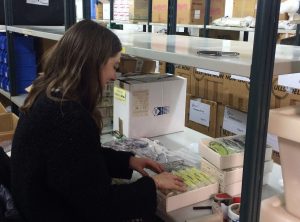 Irene Vilà classifying optical material