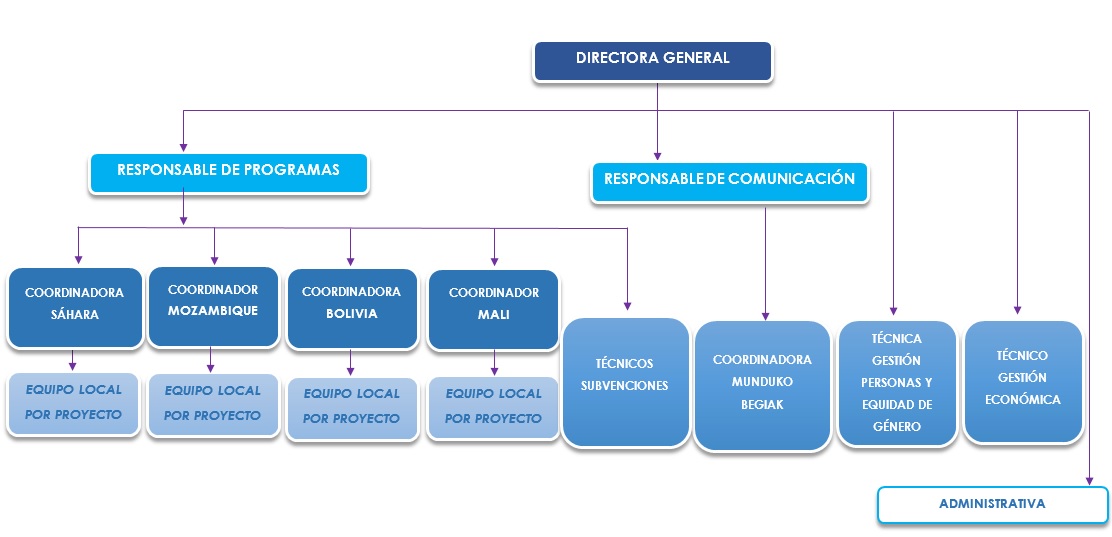 Organigrama de la Fundación Ojos del mundo Organigrama de la Fundación Ojos del mundo