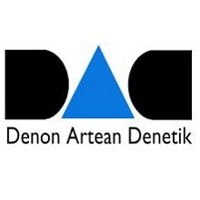 Denon Artean Denetik