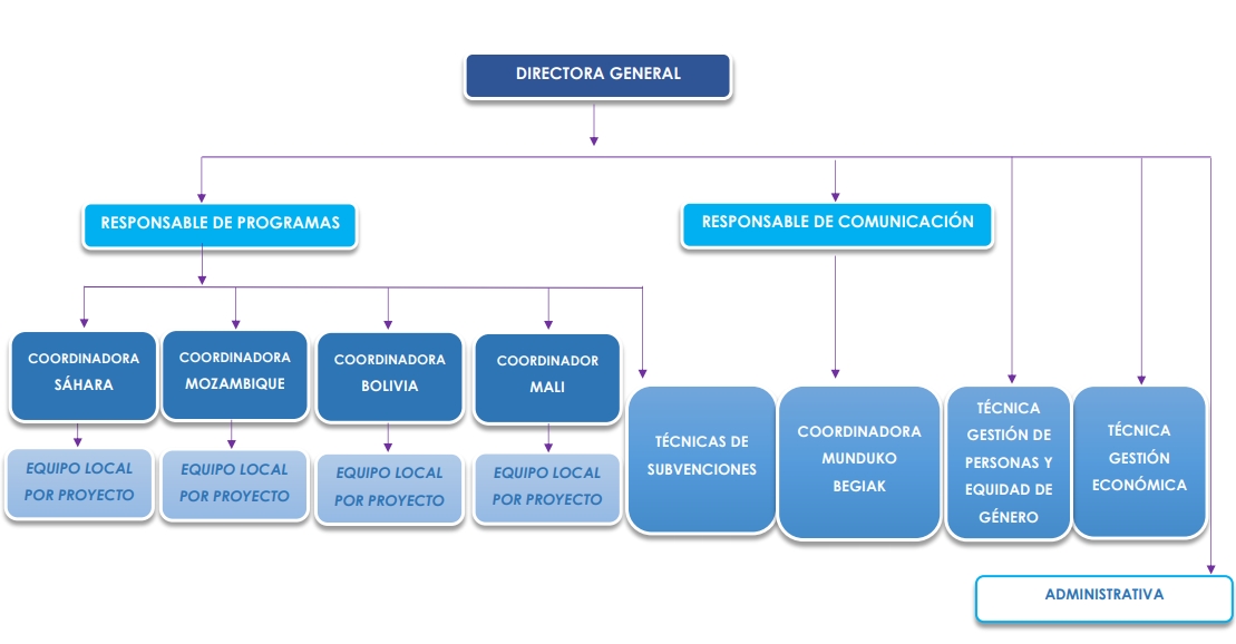 Organigrama de la Fundación Ojos del mundo Organigrama de la Fundación Ojos del mundo