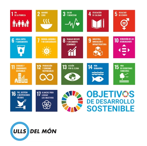 Sustainable sight: World Sight Day 2020