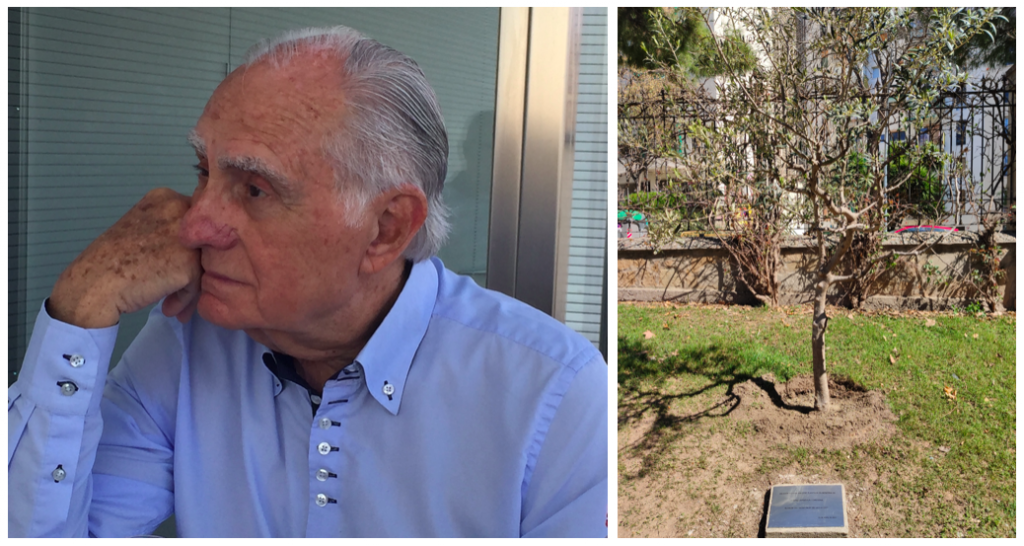 Vicenç Capdevila and commemorative olive tree Vicenç Capdevila and commemorative olive tree