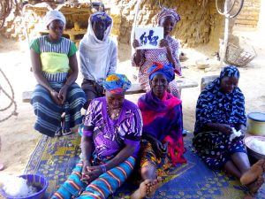 A group of Malian women